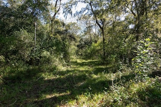 0000 Cr-611, Angleton, TX 77515