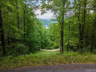 Lt 10 von Trapp Ln, Tuckasegee, NC 28783