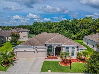 20306 Natures Corner Dr, Tampa, FL 33647