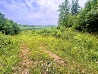 13.44 AC Chestnut Ridge Rd, Allardt, TN 38504