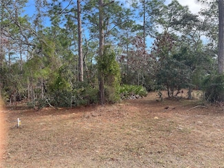 1811 S Gleneagle Terrace, Lecanto, FL 34461