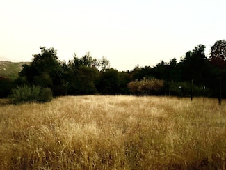 369 Hogback Dr, Miramonte, CA 93641