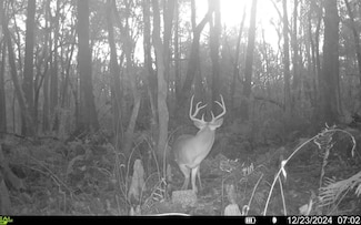 0 County Line & Prine Unit 129261, Lee, FL 32059