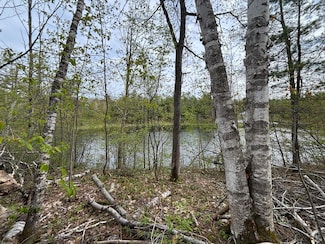 Lot 253 Iroquois Trail, Hayes Township, MI 49735