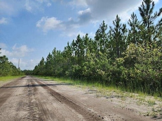 0 Fire Tower Rd, Manor, GA 31550