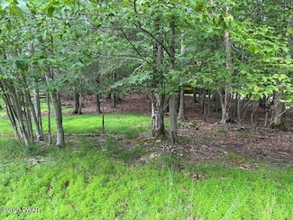 32 Tomahawk Rd, Wallenpaupack Lake Estates, PA 18436
