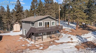 112 Needle Creek Rd, Divide, CO 80814