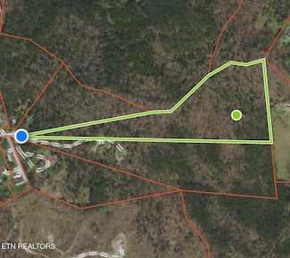 317 Cherry Ln, Caryville, TN 37714