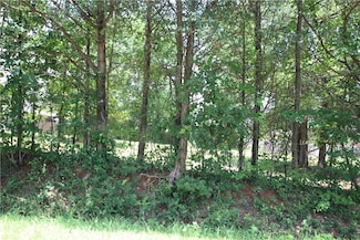 Lot 19 Rachel Circle Rachel Cir, Dover, AR 72802
