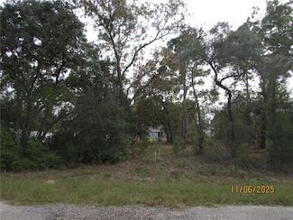 3108 W Randolph Ln, Citrus Springs, FL 34433