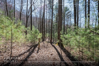 Lot 13 Climber's Spur, Sapphire, NC 28774