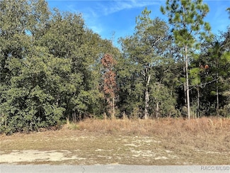 8593 N Muller Way, Citrus Springs, FL 34434