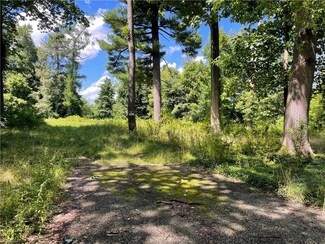 10873 Valley View Rd, Northfield, OH 44067
