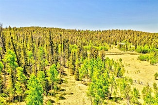 445 Warpath Rd, Como, CO 80456