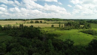 TBD 430th St, Browerville, MN 56438