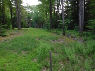 0 Hayes Ln Unit LOT 1 WB-87607, Laporte Township, PA 17758