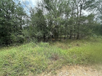 187 Puu Waa Ln, Bastrop, TX 78602