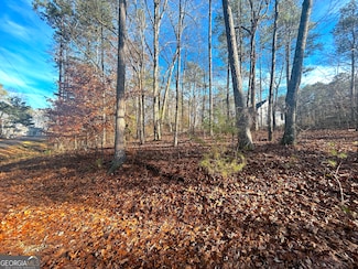 3339 Cherokee Ct, Villa Rica, GA 30180