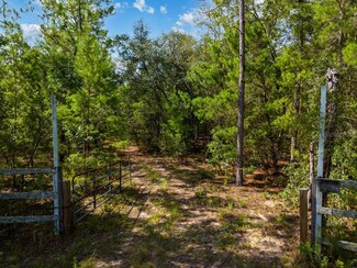 6474 Golden Oak Ln, Keystone Heights, FL 32656