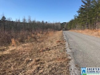 0 County Road 18 Unit 101 Ac. 807230, Millerville, AL 36267
