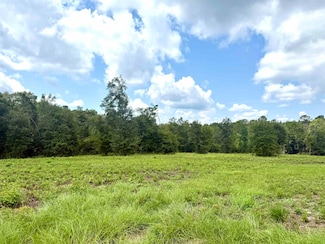 23777 Babbie Rd, Andalusia, AL 36421