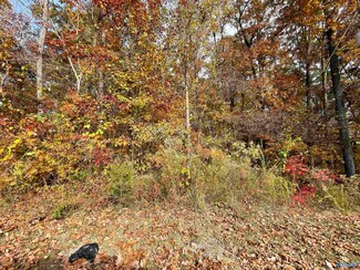 Lot 11 Garrison Dr, Gadsden, AL 35901