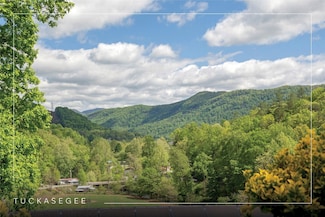 401 Grassy Creek Rd, Tuckasegee, NC 28783