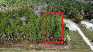 Lot 21 Doc Whitfield Rd, Wewahitchka, FL 32465