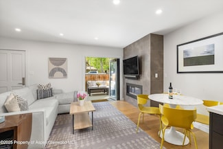 250 S Original St Unit B, Aspen, CO 81611