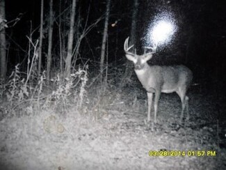 - Hanson Rd, Hawkins, WI 54530