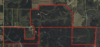 770 Williams Ave, Shiloh, GA 31826