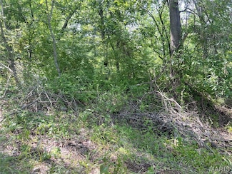 0 Hillview Ln, Salem Township, MO 63775