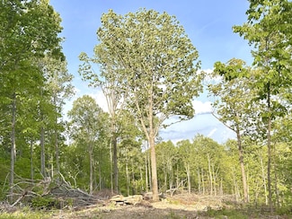 0 Nora Ln, Pegram, TN 37143