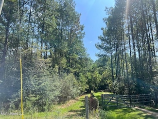 0 Nhn Old Biloxi Rd, Ocean Springs, MS 39565