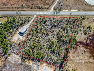 Lot 1 County Road 386, Wewahitchka, FL 32465