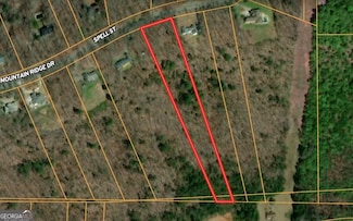 3.26 ACRES Mountain Ridge Dr, Manchester, GA 31816