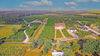 151047 C Rd, Burke, TX 75941