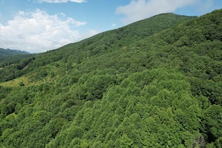 TBD Allison Gap Rd, Saltville, VA 24370