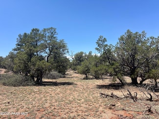 249 W Kings Ranch Rd, Ash Fork, AZ 86320