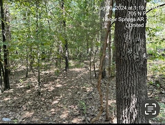 00 Park North St St, Heber Springs, AR 72543