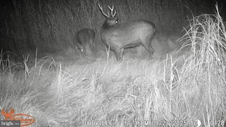 2703 Toddville Rd, Toddville, MD 21672