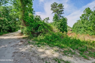 0 Riley Lewis Rd, Sneads Ferry, NC 28460