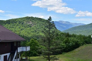 D16 Christmas Mountain, Bartlett, NH 03812