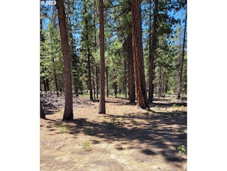 201 Hwy 58, Crescentlake, OR 97733