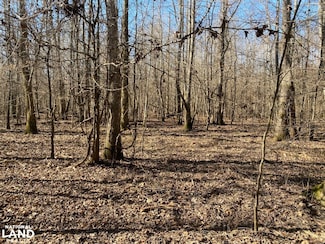3000 U S Highway 167, Fordyce, AR 71742