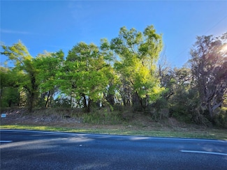TBD Us Hwy 441 27, Summerfield, FL 34491