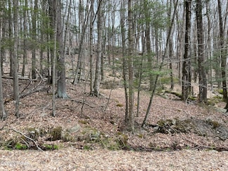 Lot 7 Game Trail Dr, Greene Township, PA 18426