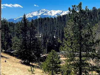 194 Rainbow Trail Unit 17, Divide, CO 80814