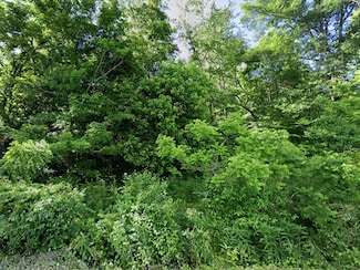 N N Fork River Rd, Abingdon, VA 24210