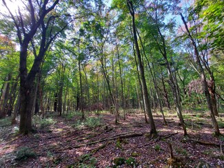 0 E Brandywine Dr Unit VL 15 Acres 25022369, Pine Grove Township, MI 49055